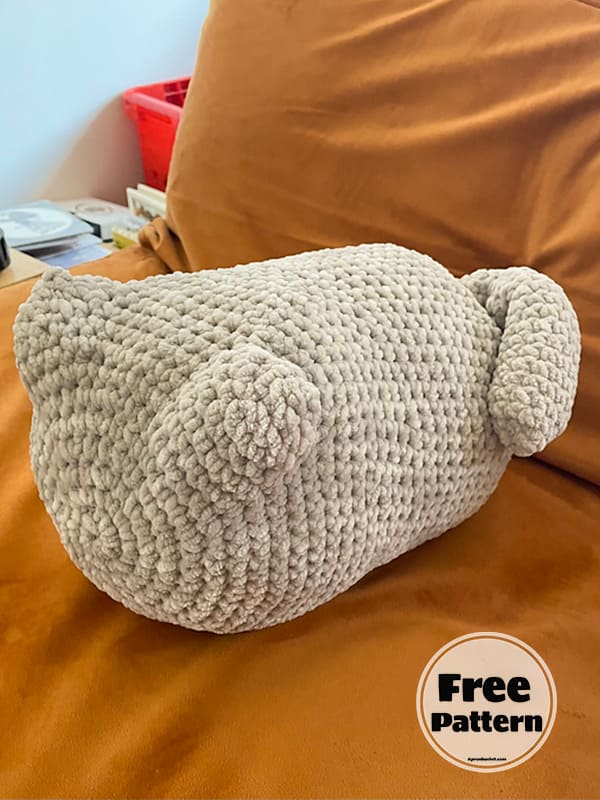 19+ Best Free Crochet Pillow Patterns