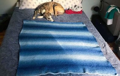 easy-tunisian-crochet-blanket-free-pattern