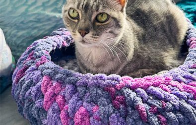 big-little-crochet-cat-bed-free-pattern