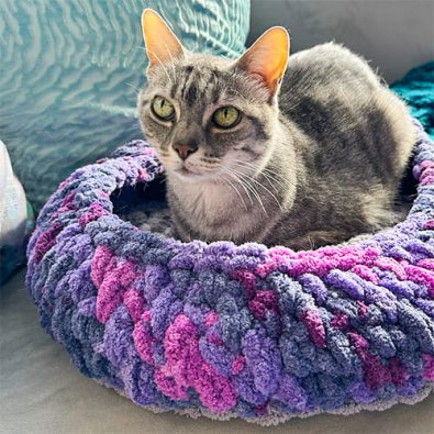 big-little-crochet-cat-bed-free-pattern