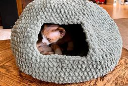 free-crochet-cat-bed-house-pattern