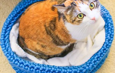 quick-and-easy-crochet-cat-bed-free-pattern