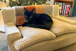 crochet-cat-couch-free-pattern