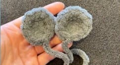 ears