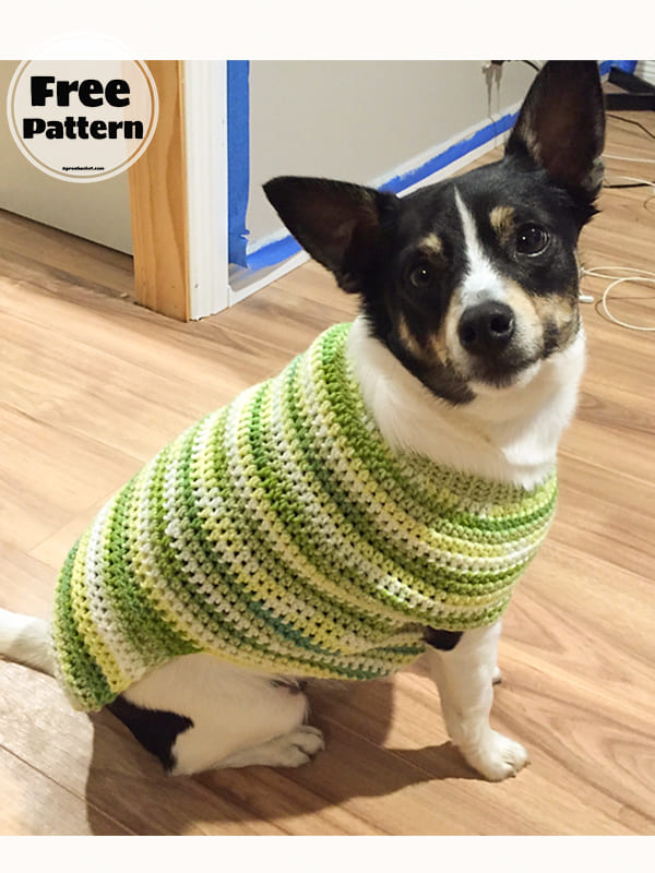 Crochet Dog Sweater Free Pattern 