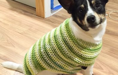 crochet-dog-sweater-free-pattern