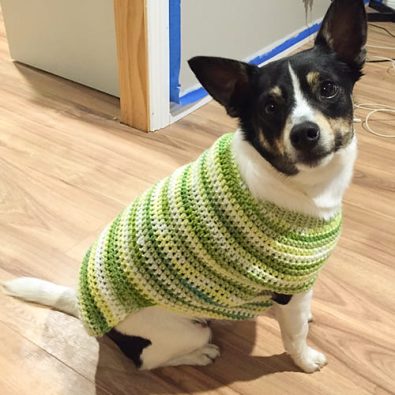 crochet-dog-sweater-free-pattern