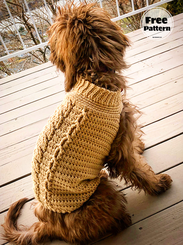 Free Crochet Small Dog Sweater Pattern 