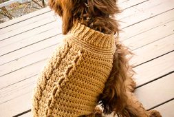 free-crochet-small-dog-sweater-pattern