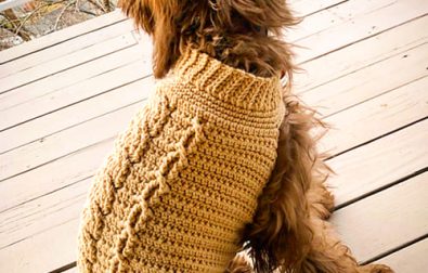 free-crochet-small-dog-sweater-pattern