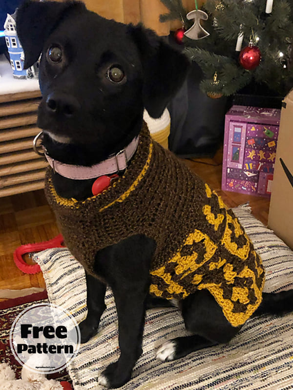 Granny Square Free Small Dog Sweater Crochet