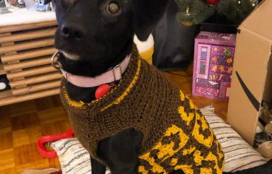 granny-square-free-small-dog-sweater-crochet