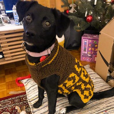 granny-square-free-small-dog-sweater-crochet