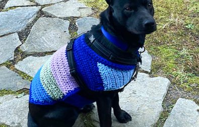 jacket-easy-dog-sweater-free-crochet-pattern