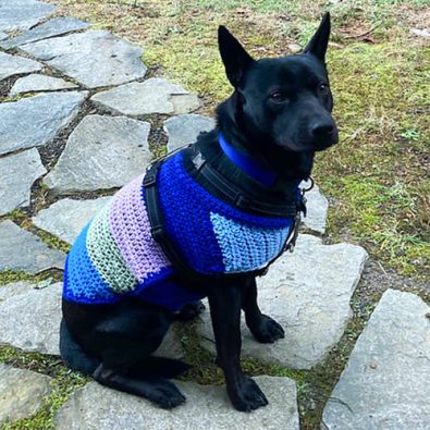 jacket-easy-dog-sweater-free-crochet-pattern