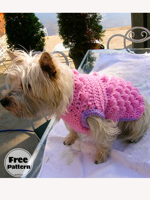 Raspberry Crochet Small Dog Sweater Free Pattern