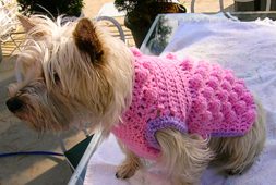 raspberry-crochet-small-dog-sweater-free-pattern
