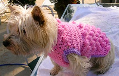 raspberry-crochet-small-dog-sweater-free-pattern