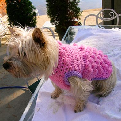 raspberry-crochet-small-dog-sweater-free-pattern