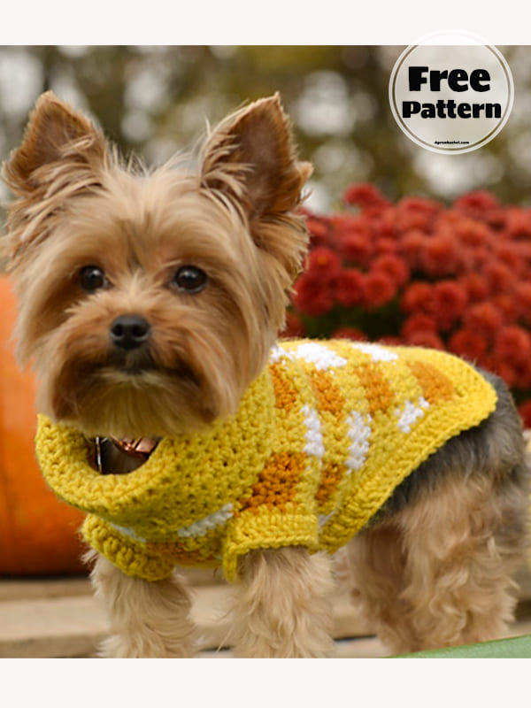Small Squares Free Crochet Pattern For Dog Sweater