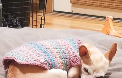 wavy-free-simple-crochet-dog-sweater-pattern