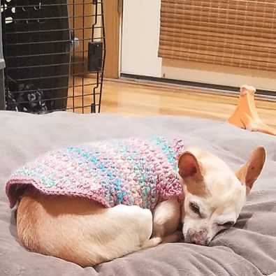 wavy-free-simple-crochet-dog-sweater-pattern