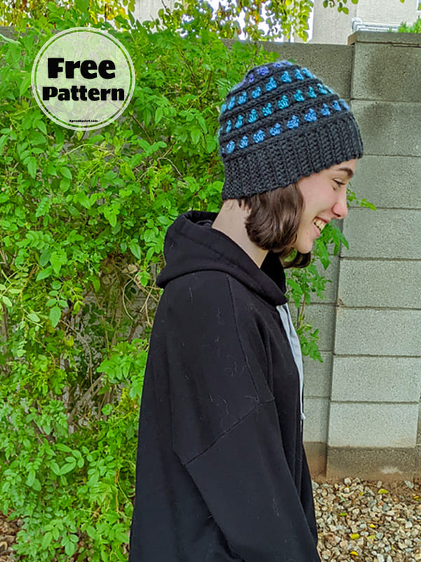 Beautiful Beanie Pattern Crochet Free Pattern 