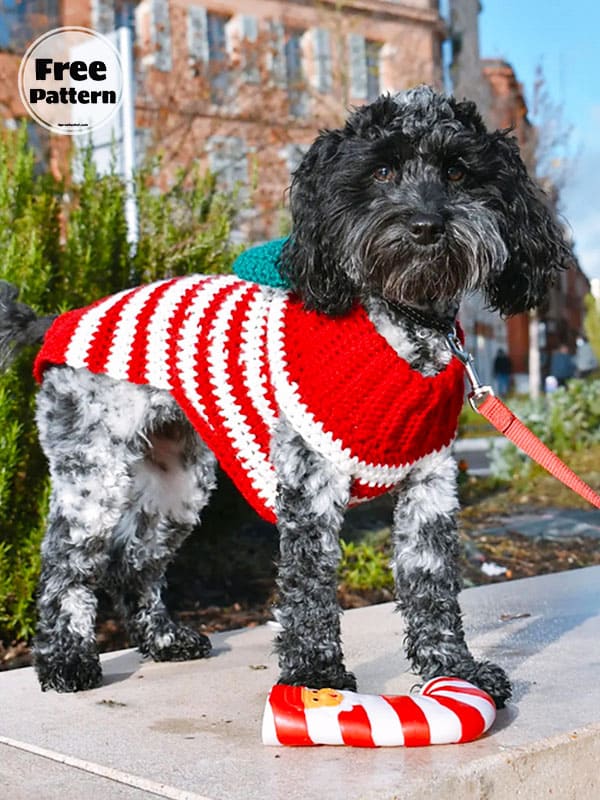 Cute Crochet Easy Dog Sweater Free Pattern