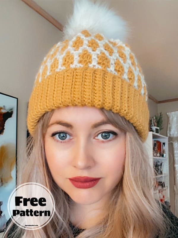 Free Mosaic Crochet Hat Pattern For Women (2)