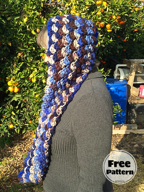 Hooded Scarf Crochet Pattern For Beginners Free