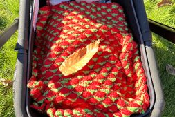 strawberry-no-holes-crochet-baby-blanket-free-pattern