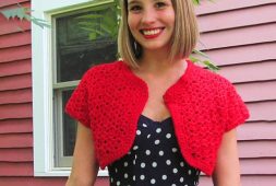 cute-ladybug-free-crochet-pattern-bolero