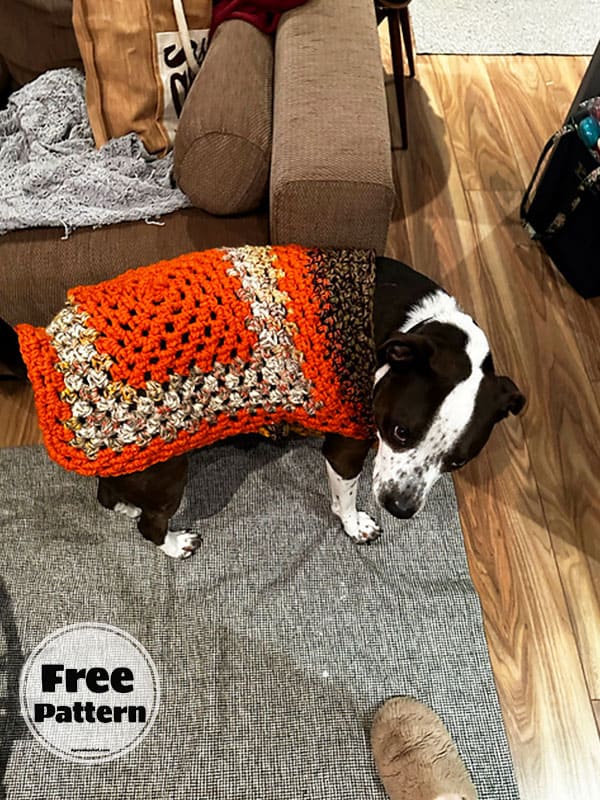 Granny Crochet Dog Sweater For Small Dog Free Pattern 