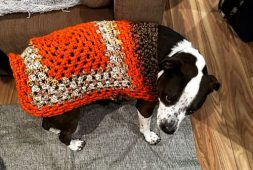 granny-crochet-dog-sweater-for-small-dog-free-pattern