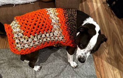 granny-crochet-dog-sweater-for-small-dog-free-pattern