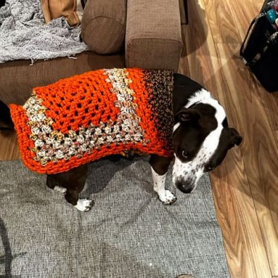 granny-crochet-dog-sweater-for-small-dog-free-pattern
