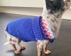 small-heart-free-dog-crochet-pattern-sweater-pattern