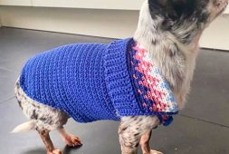small-heart-free-dog-crochet-pattern-sweater-pattern