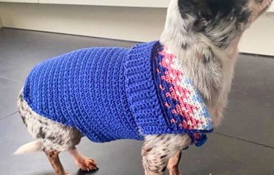 small-heart-free-dog-crochet-pattern-sweater-pattern