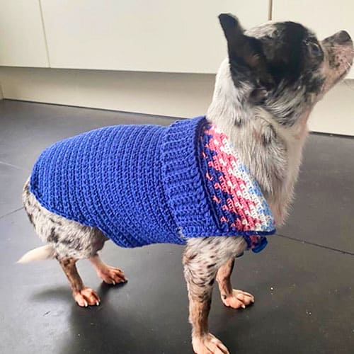 Small heart free dog crochet pattern sweater pattern