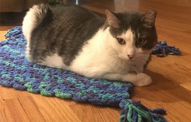 free-crochet-cat-mat-pattern