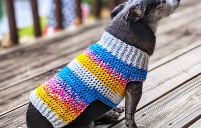 tricolor-free-small-dog-sweater-crochet-pattern